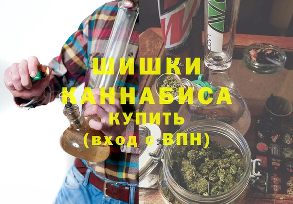 хмурый Гусев
