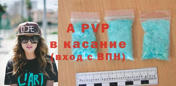 хмурый Гусев