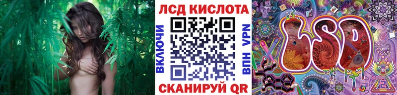 Марки N-bome 1,5мг  Купить закладки  Изобильный 