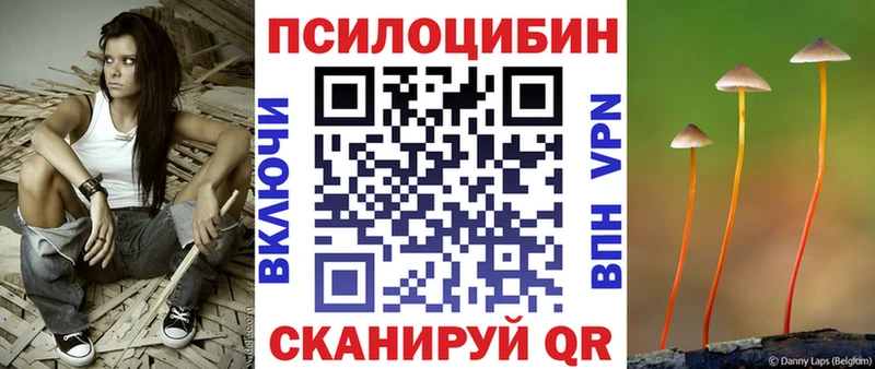 Псилоцибиновые грибы прущие грибы  Купить где  Изобильный 